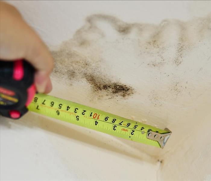 Hand with a measure tape, measuring mold growth in a wall